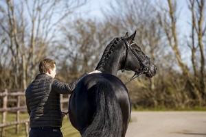 Hulapalu
Brodersdorf - Verkaufs- und Kundenpferde 2020
31.03.20
© www.sportfotos-lafrentz.de/Stefan Lafrentz